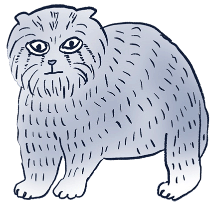 株式会社キリック